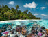 Ravensburger A Dive in The Maldives 2000 Piece Jigsaw Puzzle with Unique Softclick Technology for Adults & Kids