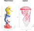 8pcs Playset UANDME Sea Animal Figures Realistic Ocean Animal Figurines Toy for Kids Cake Toppers Decoration