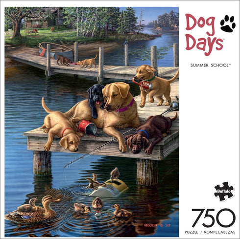 Buffalo Games - James A. Meger - Summer School - 750 Piece Jigsaw Puzzle for Adults Challenging Puzzle Perfect for Game Nights - Finished Puzzle Size is 24.00 x 18.00