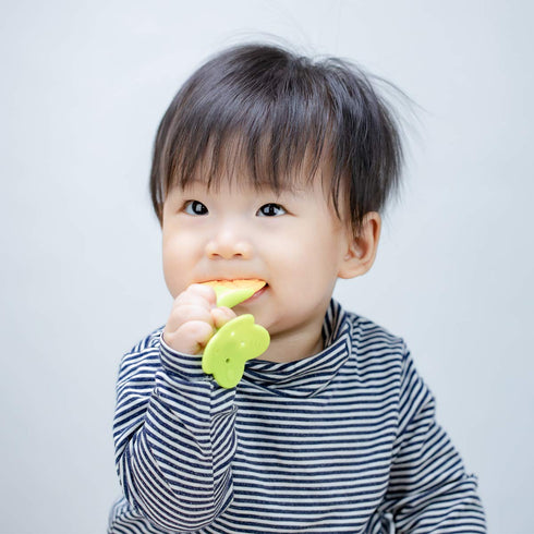 Stand-Up Teething Toys for Babies 0-12 Months, Teethers with 2 Baby Fruit Feeders and 4 Baby Teether, BPA Free