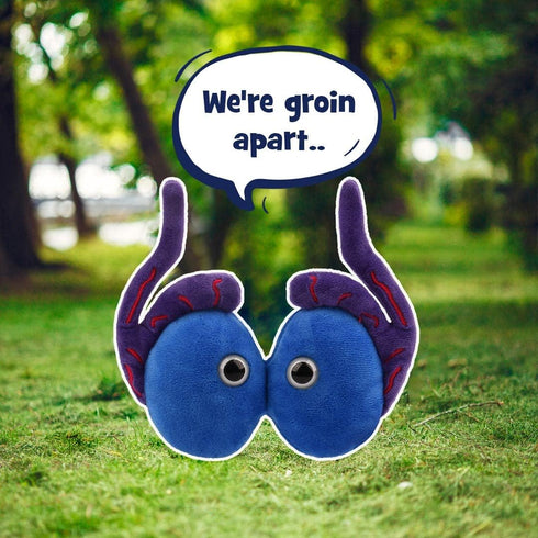 GIANT MICROBES Testicle Plush Toy, Testicular Cancer Awareness Gift, Urology Nursing, Gag Gift