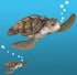 Sea Turtle Wall Decal, Ocean Undersea Animal Tortoise Wall Sticker for Kids Room Decor