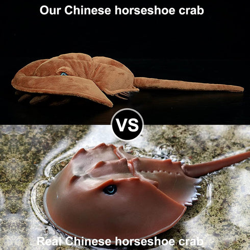 ZHONGXIN MADE Kids,18inchs Simulation Tri-Spine Horseshoe Crab Stuffed Plush Toy- Real Life Lifelike Sea Limulus
