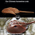 ZHONGXIN MADE Kids,18inchs Simulation Tri-Spine Horseshoe Crab Stuffed Plush Toy- Real Life Lifelike Sea Limulus