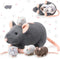 5 Pcs Mouse Stuffed Animals Set - 14'' Large Mommy Rat Plush with 4 Small Mouse Babies for Kids Birthday