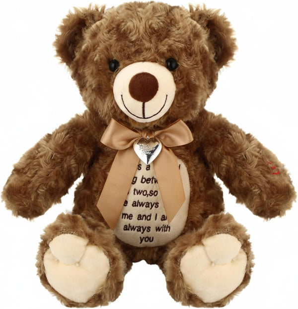 Silipull 12 Inch Bear Stuffed Animals with Voice Recorder Photo Pendant Set