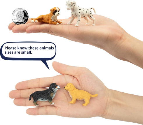Toymany 12PCS Mini Dog Figurines Playset, Realistic Detailed Plastic Puppy Figures, Hand Painted Tiny Dogs