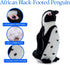 12 inches The Petting Zoo Penguin Stuffed Animal, Gifts for Kids, ABF Penguin Plush Toy