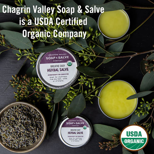 Chagrin Valley Soap & Salve Baby Shampoo Bar, Unscented & Moisturizing, 3.5 oz for Sensitive Skin & Eczema