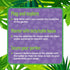 Nettles’ Nook Mini Terrarium Kit with Shadow Fairy & Cat Doll for Kids Aged 4 and Up