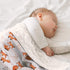 SANDJEST Fox Baby Blankets, 30 x 40 Minky Blanket with Double Layer Dotted Backing for Newborns & Toddlers