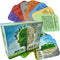Thought-Spot: Growth/Fixed Mindset Card Game, Cultivates Coping & Social Skills, Ages 8+