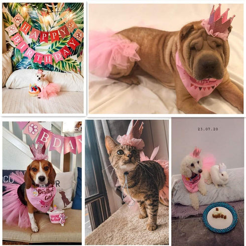 ADOGGYGO Dog Birthday Hat Bandana Set - Pink Tutu Hat Scarf for Medium Large Dogs