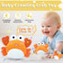 6-18 120+ Tummy 6-18 RedCrab Crawling Crab Baby Toy for Months with Songs & Recording Feature,Musical Dancing Walking