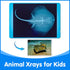 20 Pcs Animal Xrays and Picture Cards - Veterinary Toys & Educational Science Kit for Kids, Explore The Fascinating