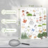 30 Pcs Nature Scavenger Hunt Cards, Find and Seek Camping Sheets, Woodland Themed Holiday Party Game Outdoor Activity for Family Friend -02