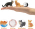 Toymany 8PCS Cat Figurines Set, Realistic Grey & Orange Cat Figures, Kitten Toys for Kids Birthday Gift