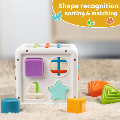 LiKee Toddler Montessori Toys for 1+ Years Old, Baby Infant Toys with 10pcs Sensory Pieces, Shape Sorter for 18+ Months