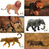 65PCS Safari Animal Figurines Toy Set, Realistic Jungle Zoo Figures for Kids Ages 3-8