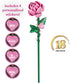 Set, 102 18 Inch 8+ Brickcraft Bricktanicals Pink Long Stem Rose Building Pieces, Buildable Flower, Romantic Valentines