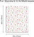 30 40 Inch Floral Baby Blankets for Girls - Super Soft Nursery Minky Blanket, Newborn Baby Blanket with Double Layer