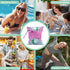 Wet Laundry Dry Bags for Diaper Waterproof Swimsuit Washable Reusable Bag for Beach Diapers Dirty Yoga Gym Clothes