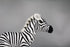 Ice King Bear Plush Toy, 11 Inches, Wild Animal Stuffed Animals Zoo Family (Zebra)