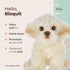 Bearington White Dog Stuffed Animal 13 in - Plush Puppy Stuffed Animals for Kids, Maltipoo Labradoodle Plushies
