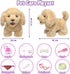 YH YUHUNG Walking Dog Toy for Kids - Remote Control Puppy that Walks, Barks, Feeds, Interactive Stuffed Dog