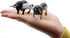 Hiawbon 12 Pcs Miniature Cattle Figurines Set - Mini Cow Models Plastic Cattle Models