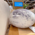 23.8 Inch Chubby Blob Seal Pillow - Large Soft Seal Plush Toy for Kids and Adults, Great Gift Idea