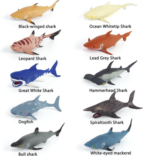Axbotoy 10 Pack Toys,8" Set,Floating Shark Soft and Stretchy Realistic Shark Toy Bathtub Toys and Birthday Party Favors