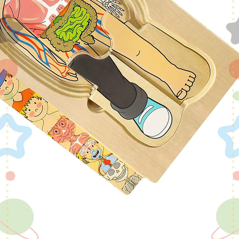 Kidzlane Boy Wooden My Body Puzzle, 29 Piece Boys Anatomy Puzzle for Kids Ages 3+