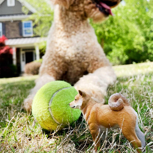 3" 3+ Safari Ltd. Shiba Inu Figurine - Lifelike Plastic Dog Figure - Fun Educational Toy for Boys, Girls & Kids Ages