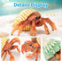 6PCS Hermit Crab Figurines Toys,Ocean Sea Animals Toys Figures, Realistic Soft Sea Creatures Toys for Kids Boys