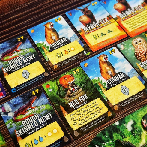 1 4 10+ Weird City Games Canopy Evergreen - Strategy Board Game - for to Players and Ages