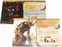 Greater Than Games Spirit Island: Branch & Claw Foil Panels, Cooperative Strategy Board Game Accessory