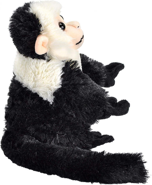 Wild Republic Cuddlekins Capuchin Plush Toy, 8 Inches, Stuffed Animal Gifts for Kids, Multi (12274)