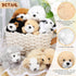 8 5 Inch Sumind Pcs Christmas Dog Stuffed Animals Bulk Assorted Cute Stuffed Puppy Dogs Small Animal for Xmas Holiday