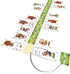 IELLO: Schotten Totten Strategy Board Game, Easy to Learn, for 2 Players, 20 Minute Play Time, Ages 8 and Up