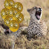 Gejoy 36 Pcs Cheetah Balloons, 12 Inch Leopard Print Balloons for Cheetah Zoo Theme Birthday Party Supplies