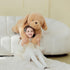 IKASA Giant Dog Labrador Stuffed Animal Plush Toy, 30" Jumbo Soft Fluffy Plushie, Gifts for Kids