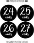 Pregnancy Weekly Belly Growth Stickers, Large Set of 36, Week to Week Photo Prop for Expecting Maternity Keepsake