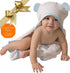 Set Channing & Yates Premium Organic Hooded Baby Towel and Washcloth - Softest Towel with Hood for Newborn - Boy Gift