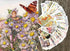 Flower Fairy Playing Cards, Vintage Children Book Illustration, Poker Deck of 55 Different Cards