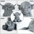 10 inch, Tonpect Highland Cow Stuffed Animal with Mooing Sound, Cuddly Farm Cow Toy for Boys Girls Gift Decoration