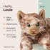 Bearington Collection Louie Cat 15-Inch Plush Toy, Realistic Tabby Stuffed Animal for Kids