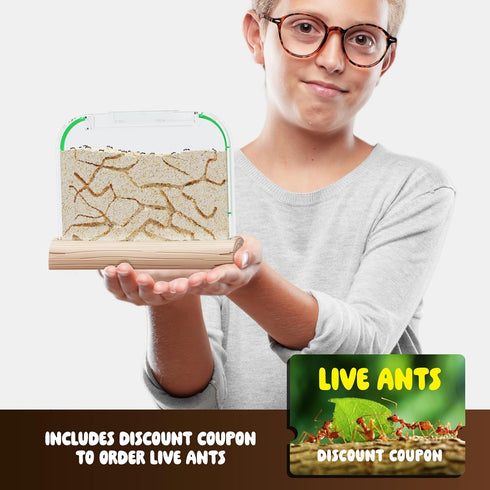 Ant Farm Kit for Kids, Educational Science Gifts, Bug Terrarium House for Boys, Girls & Adults