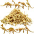 HAVAGDTM 150PCS Dinosaur Fossil Skeleton Dinosaur Skeleton Toys Assorted Figures Dino Bones for