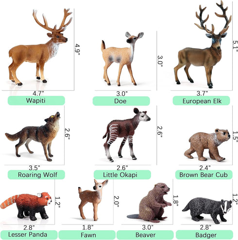 EOIVSH 10PCS Set Forest Animal Figures, Realistic Woodland Figurines, Plastic Jungle Toys With Deer Elk Wolf Bear Okapi